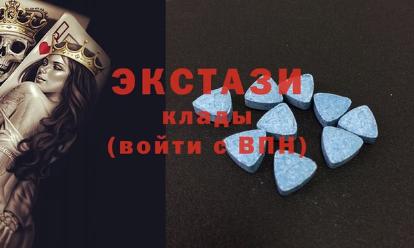 гидра Абаза