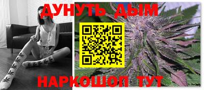 шишки Кандалакша