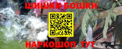 шишки Кандалакша