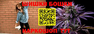 шишки Кандалакша