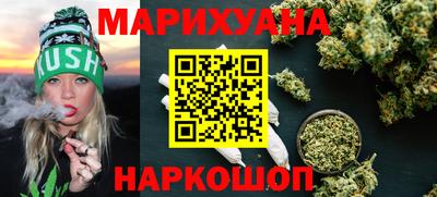 шишки Кандалакша