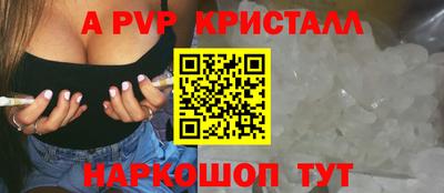 шишки Кандалакша