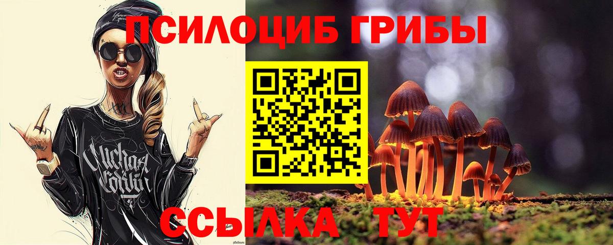Галлюциногенные грибы мицелий Бугуруслан